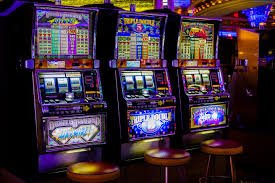 Kehangatan komunitas olahraga dan hiburan casino yang terpadu di mpo666